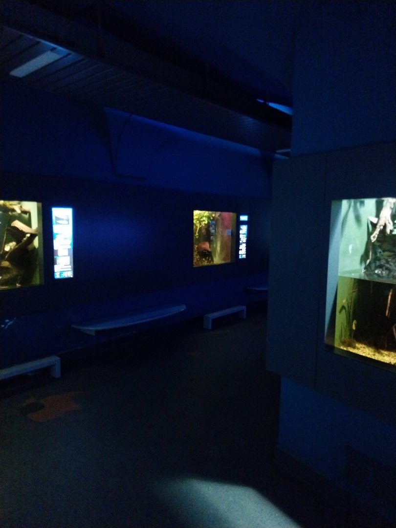 Haus der Natur - Aquarium