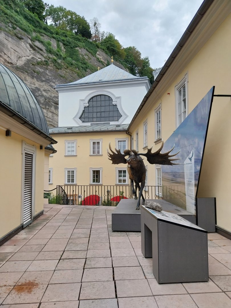 Haus der Natur - Roof top section