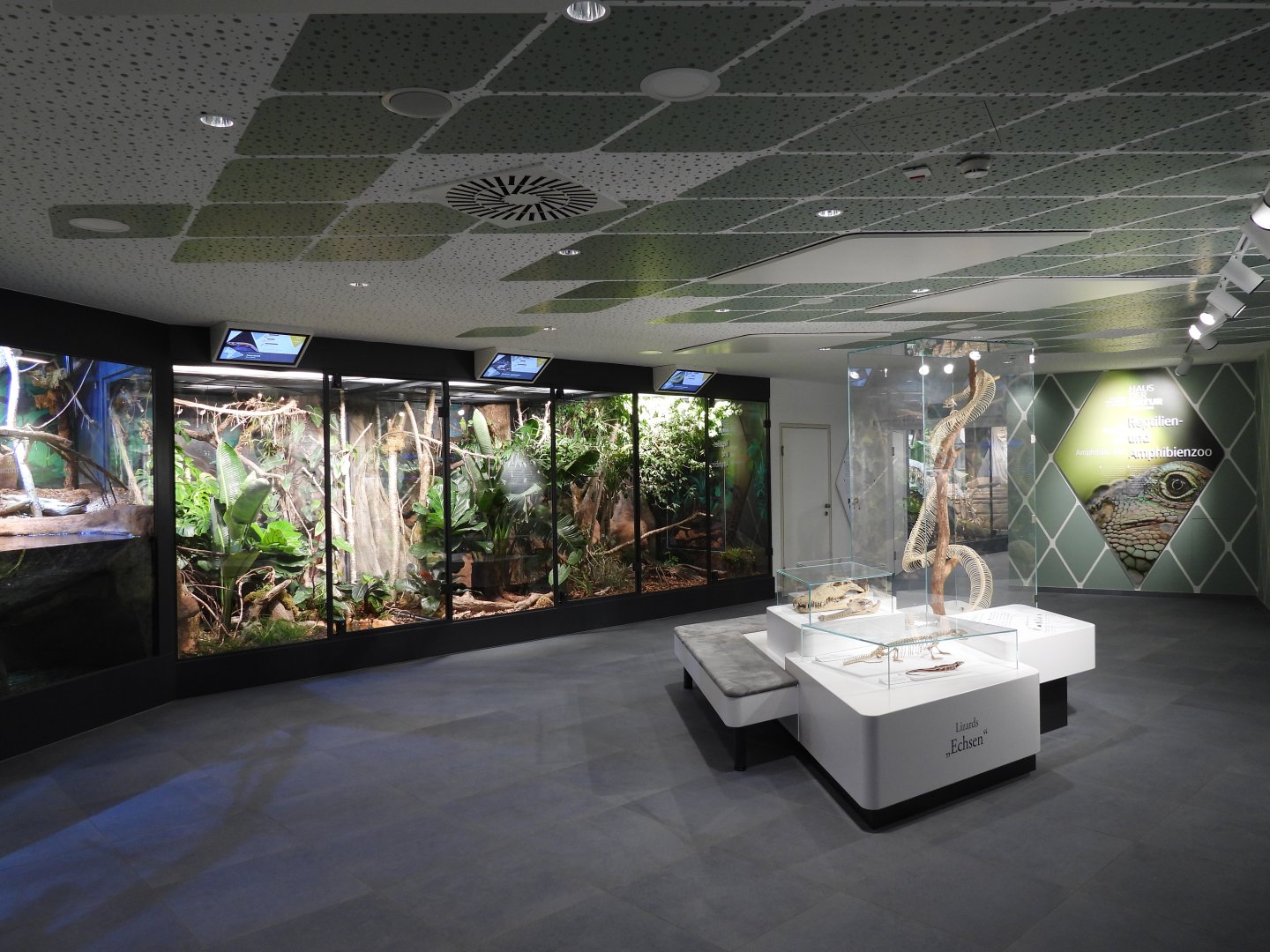 Haus der Natur Salzburg - Entrance area of the Reptile Zoo