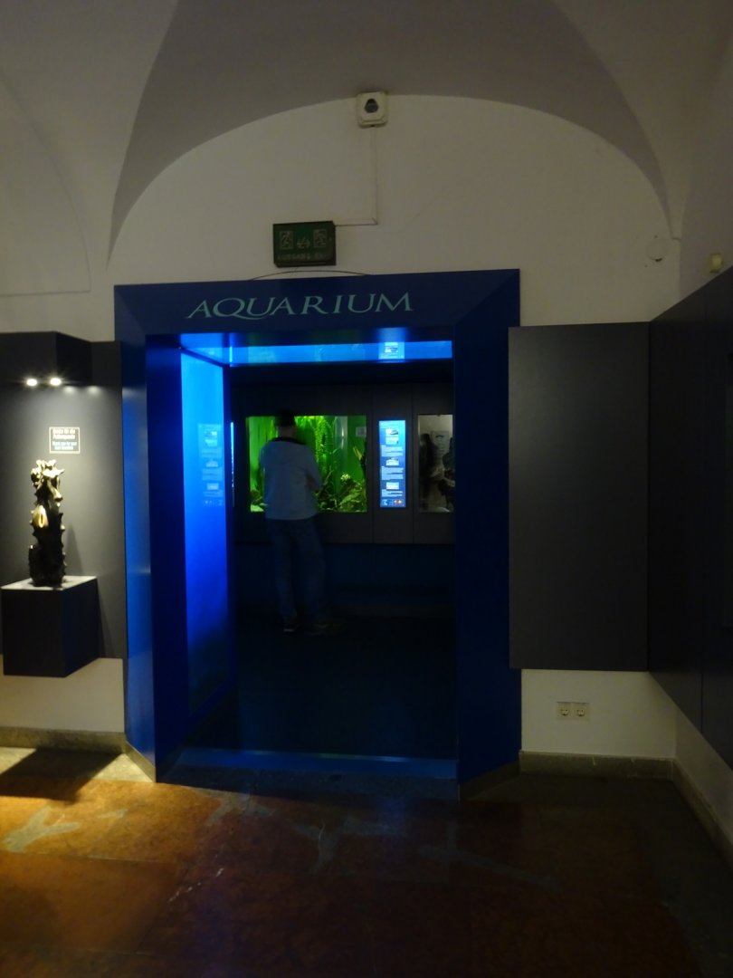 Haus der Natur Salzburg: Entrance to the aquarium section of the museum