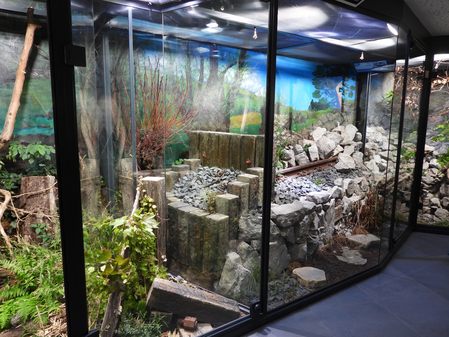 Haus der Natur Salzburg - Exhibits for native herps