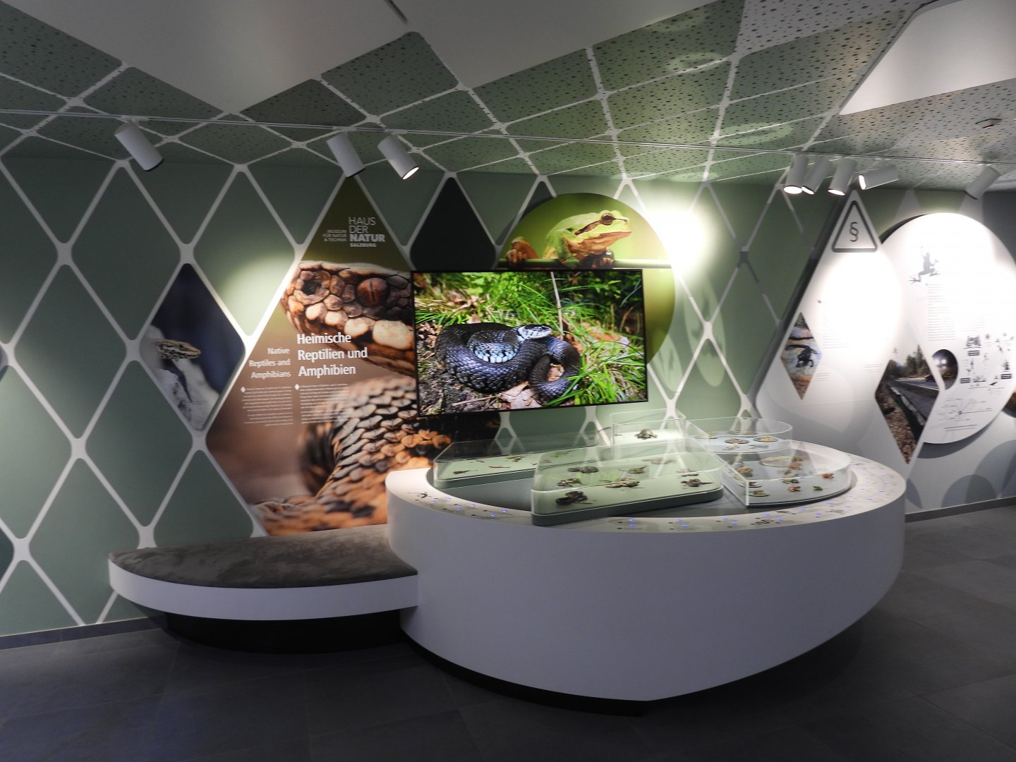 Haus der Natur Salzburg - Gallery of all Austrian herps