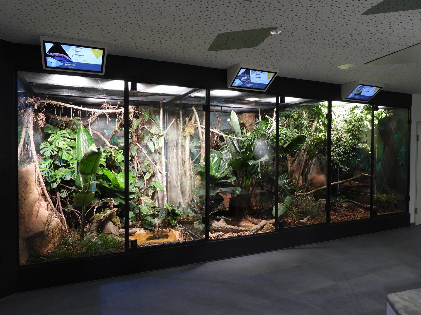 Haus der Natur Salzburg - Haus der Natur Salzburg