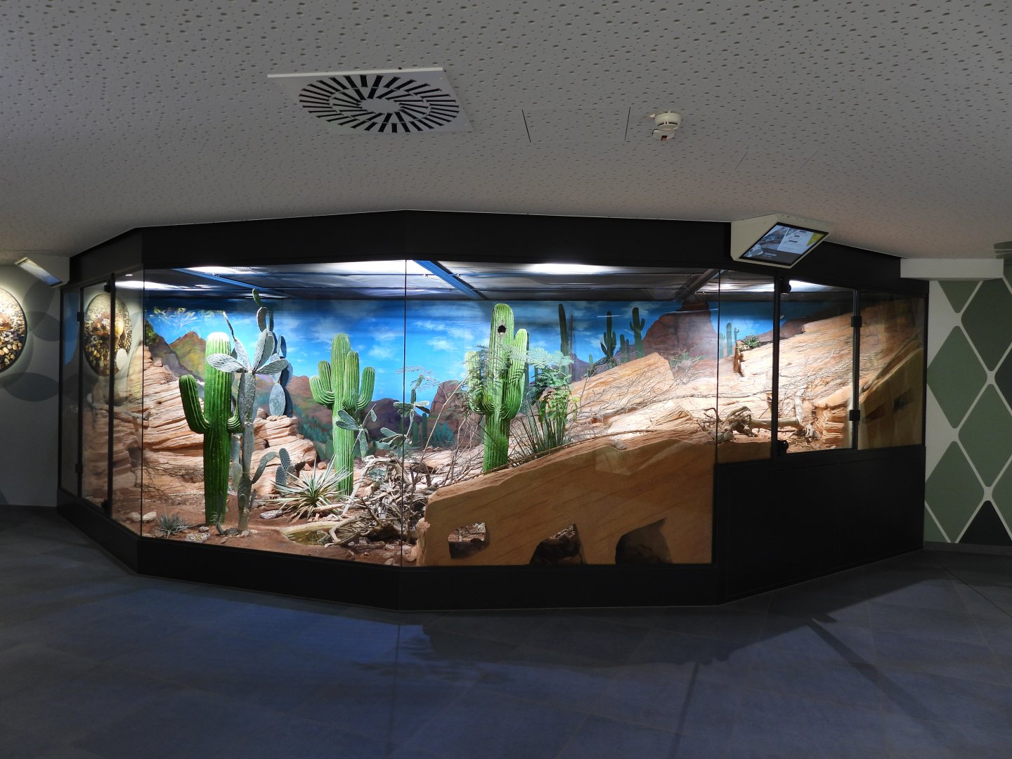 Haus der Natur Salzburg - North American panorama