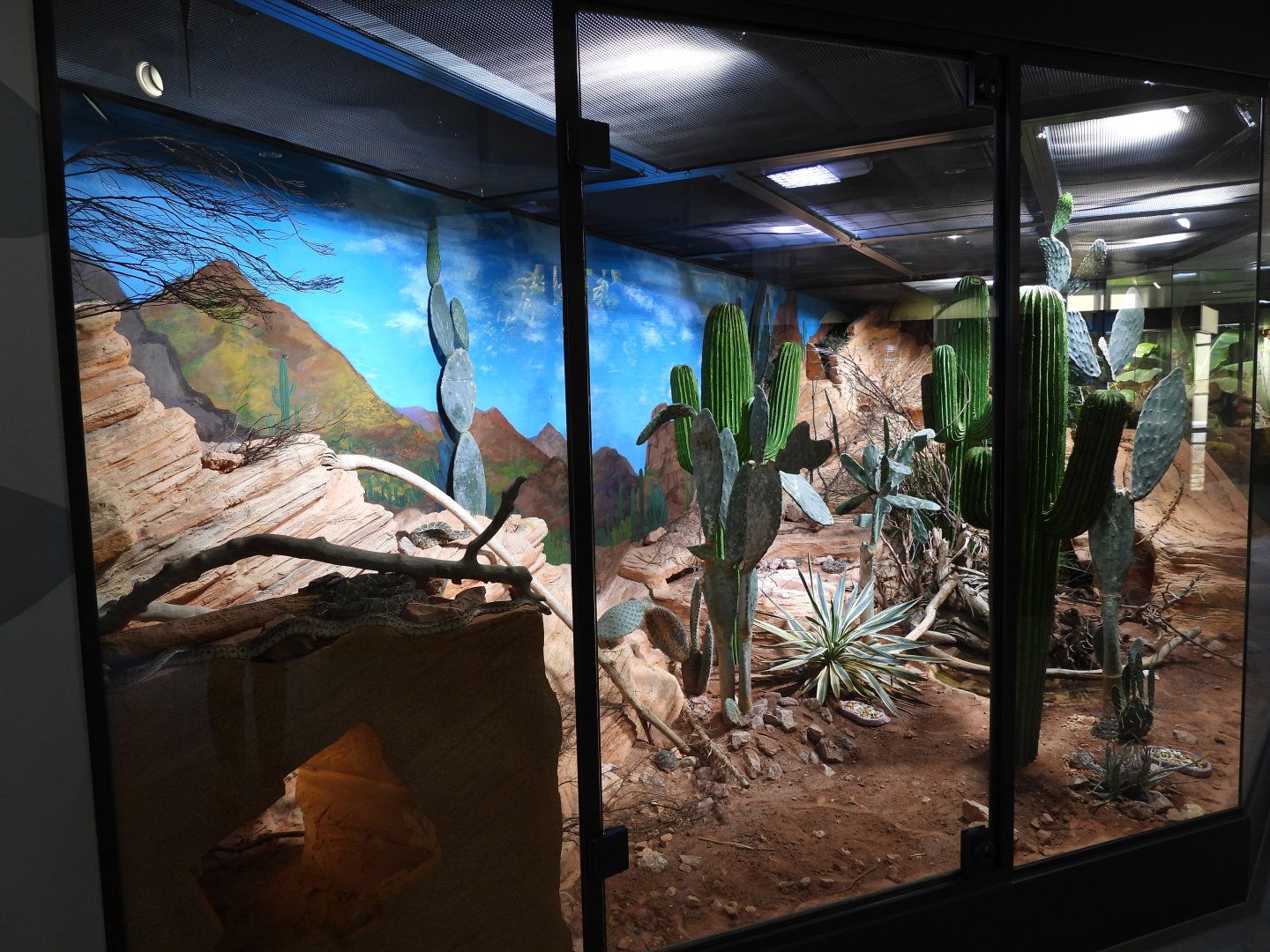 Haus der Natur Salzburg - North American panorama