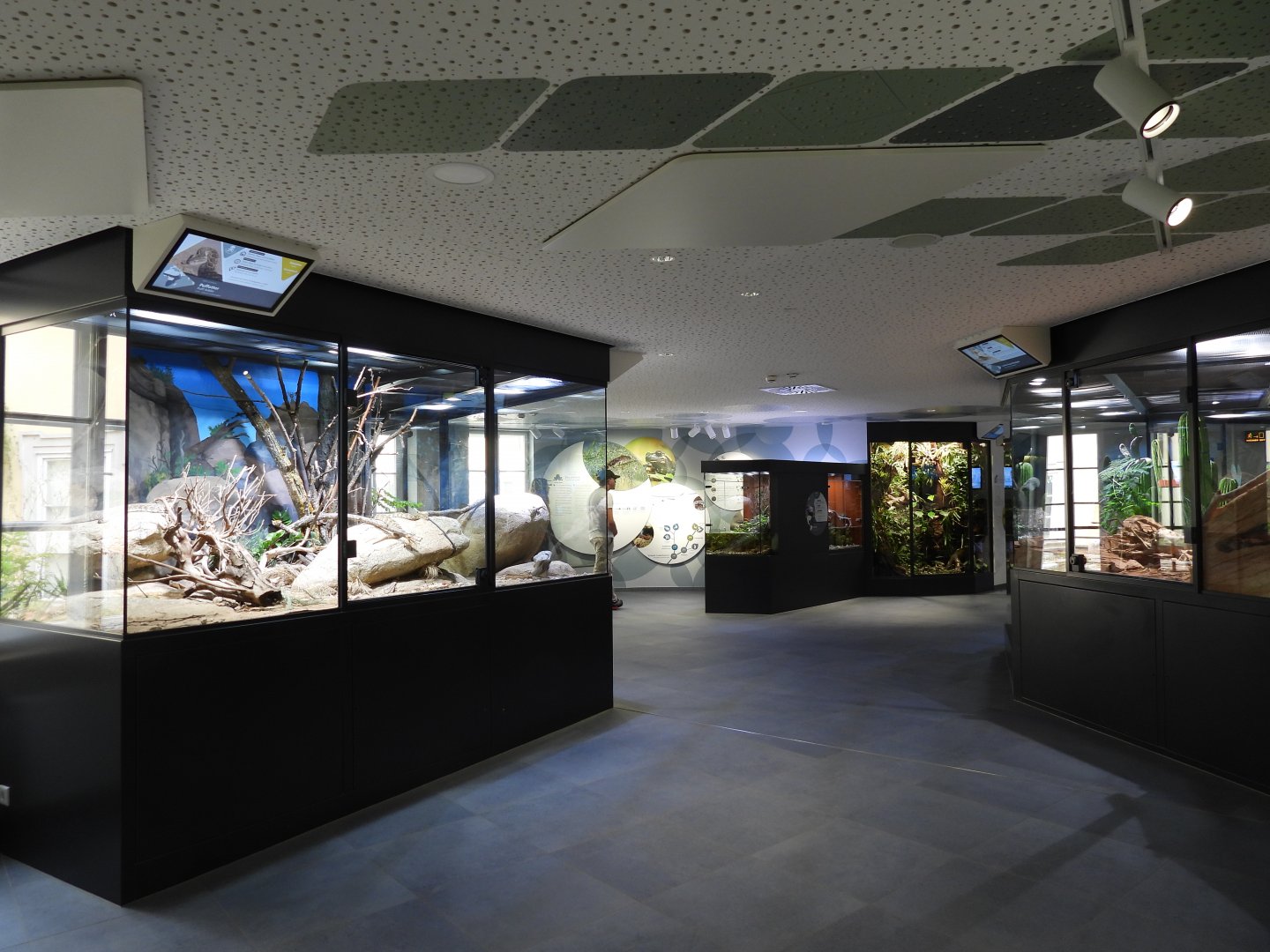 Haus der Natur Salzburg - Overview of the second room