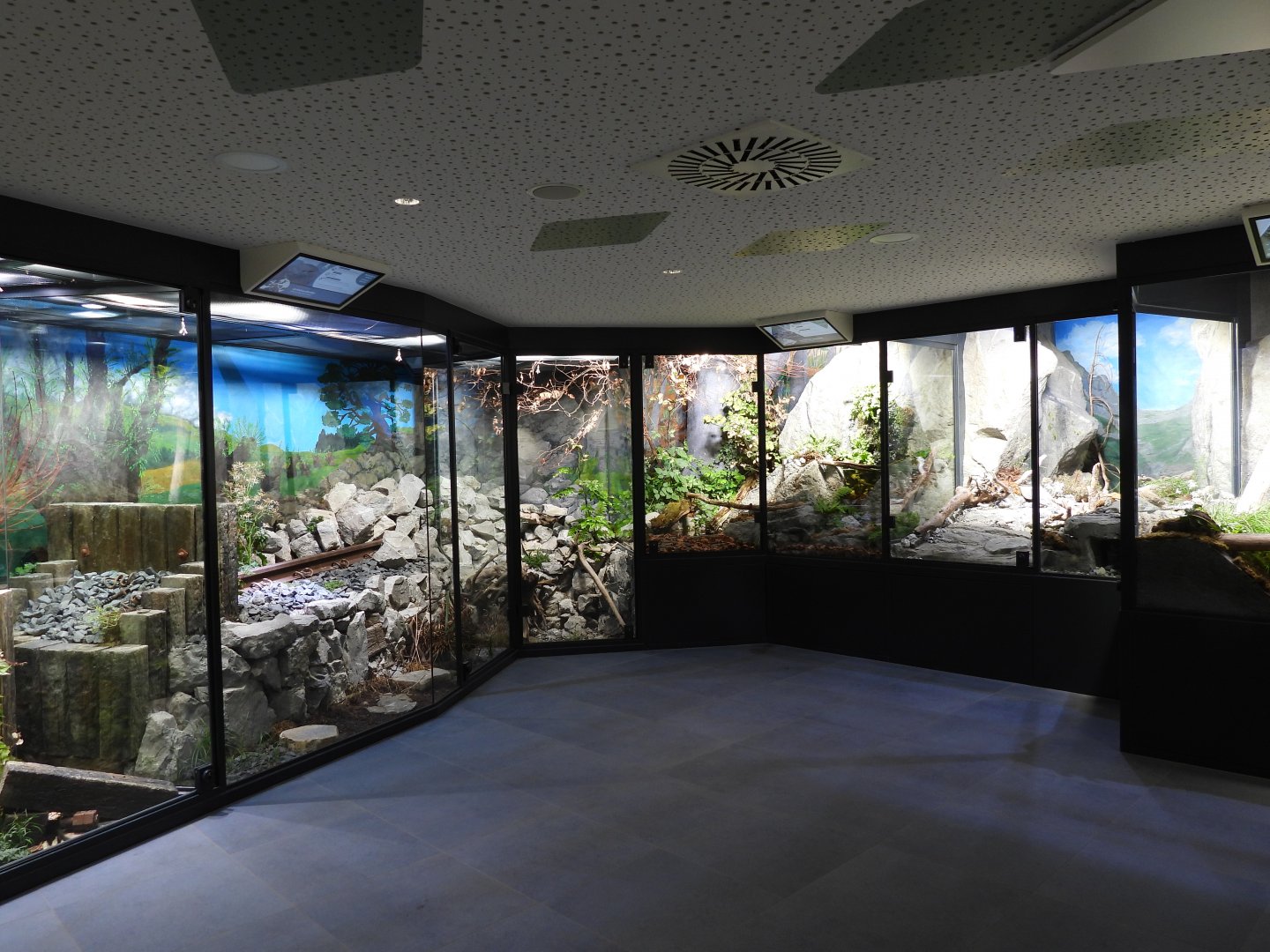 Haus der Natur Salzburg - Overview third room