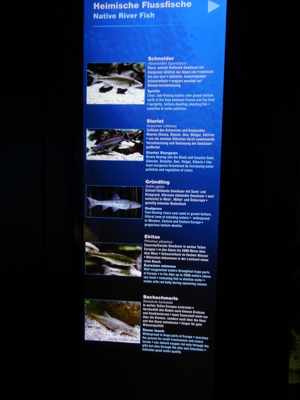 Haus der Natur Salzburg:  Signage example