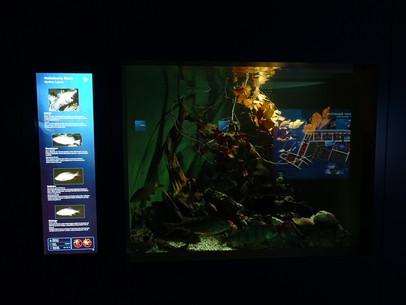 Haus der Natur Salzburg:  Tank for perch, tench, rudd and roach