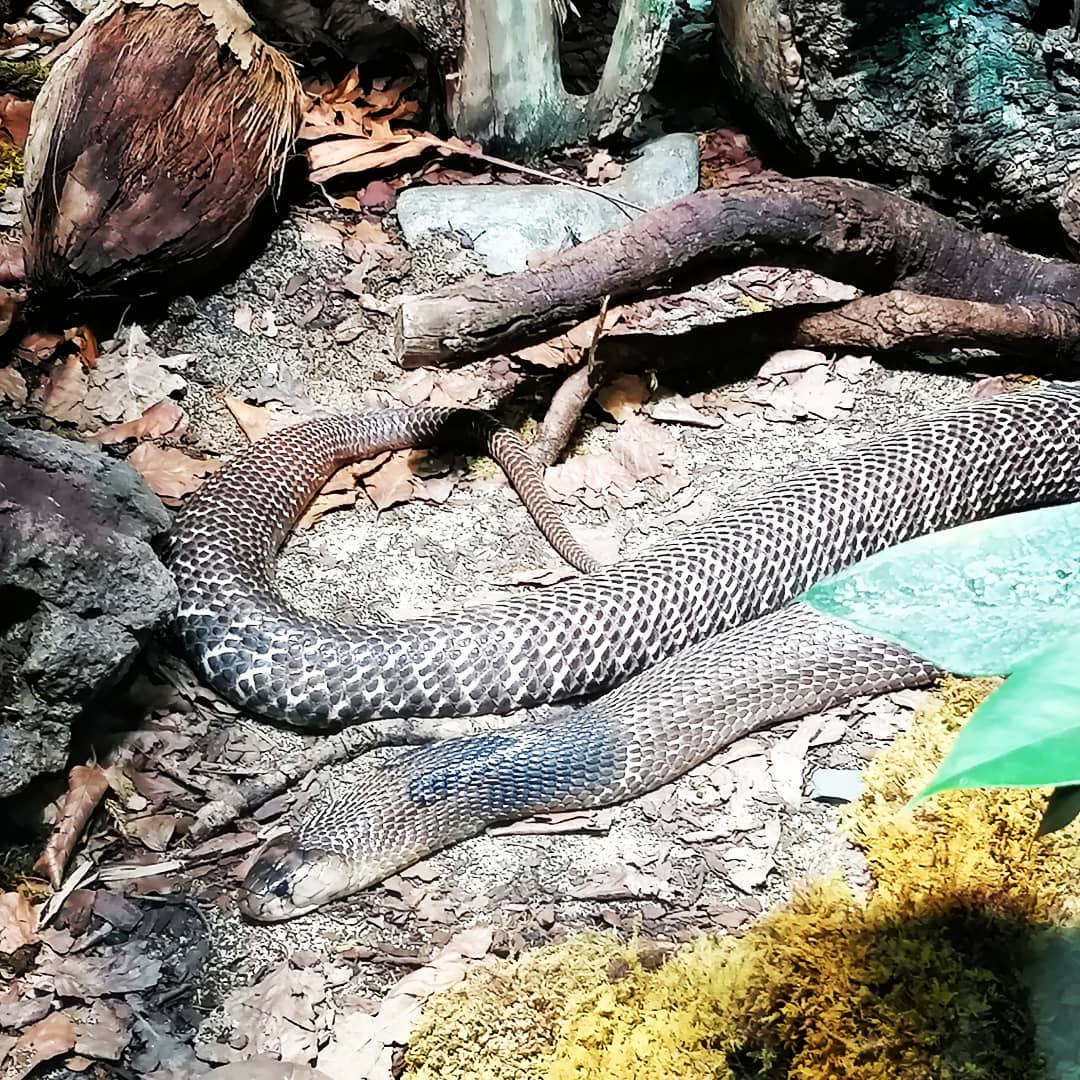 Haus der Natur Salzburg