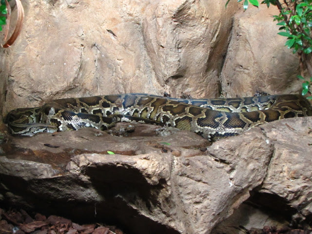 Haus des Meeres 20.06.2010