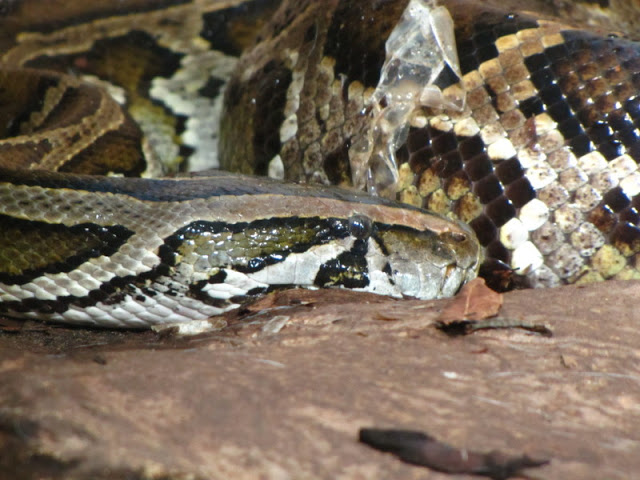 Haus des Meeres 20.06.2010