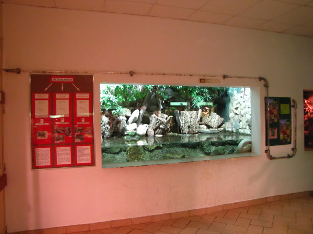 Haus des Meeres 20.06.2010