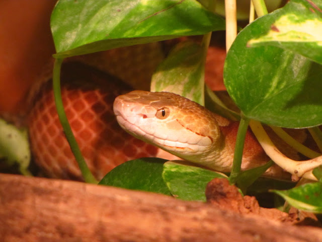 Haus des Meeres 20.06.2010