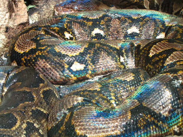 Haus des Meeres 20.06.2010