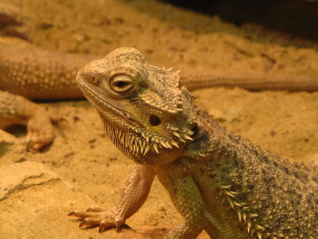 Haus des Meeres 20.06.2010