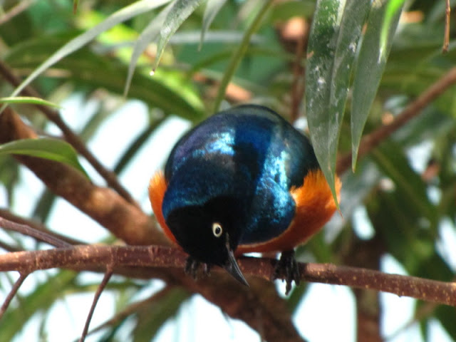 Haus des Meeres 20.06.2010