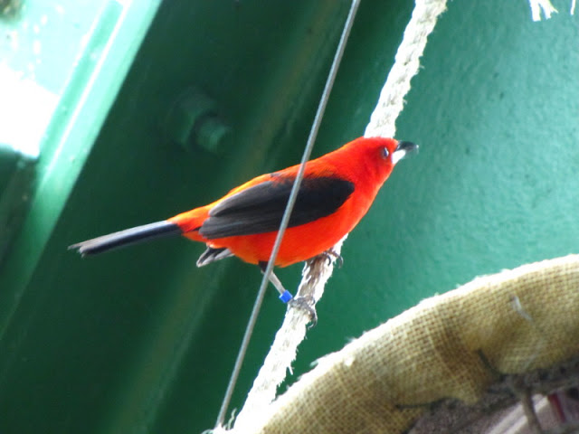 Haus des Meeres 20.06.2010