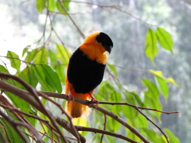 Haus des Meeres 20.06.2010