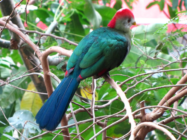 Haus des Meeres 20.06.2010