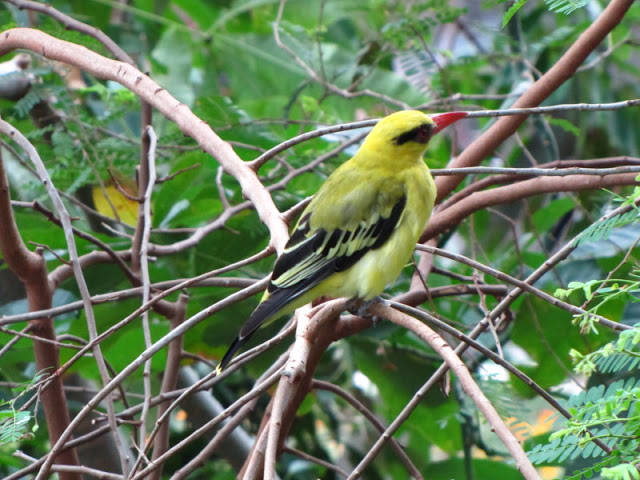 Haus des Meeres 20.06.2010