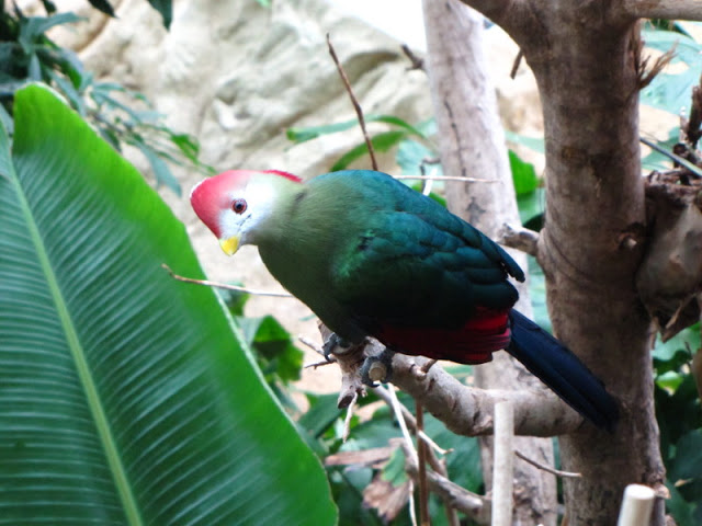 Haus des Meeres 20.06.2010