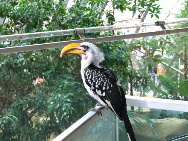 Haus des Meeres 20.06.2010