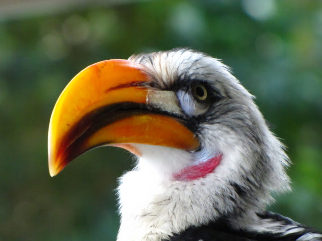 Haus des Meeres 20.06.2010