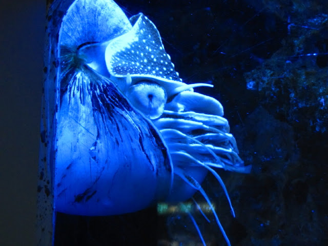 Haus des Meeres 20.06.2010