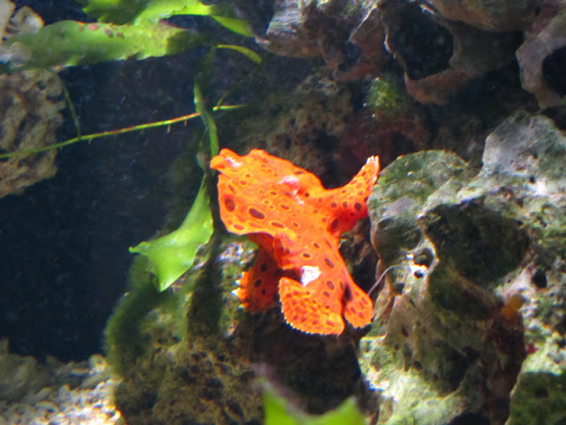 Haus des Meeres 20.06.2010