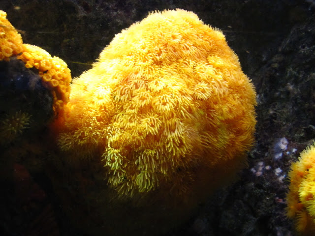 Haus des Meeres 20.06.2010