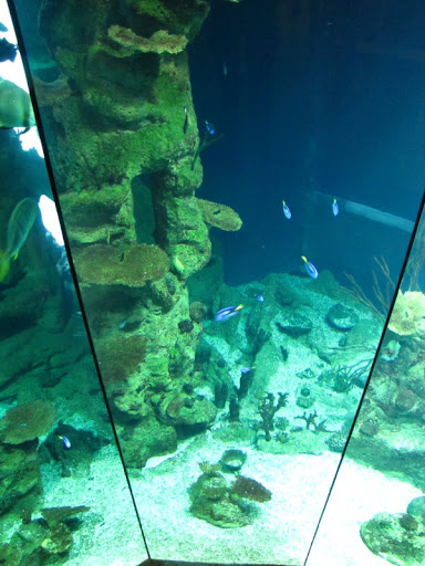 Haus des Meeres 20.06.2010