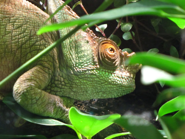 Haus des Meeres 20.06.2010