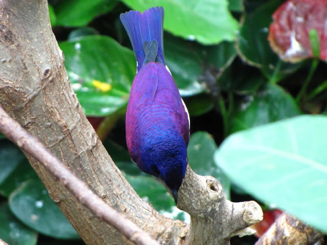 Haus des Meeres 20.06.2010