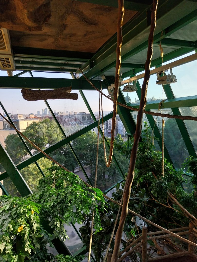 Haus des Meeres - Amazon rainforest