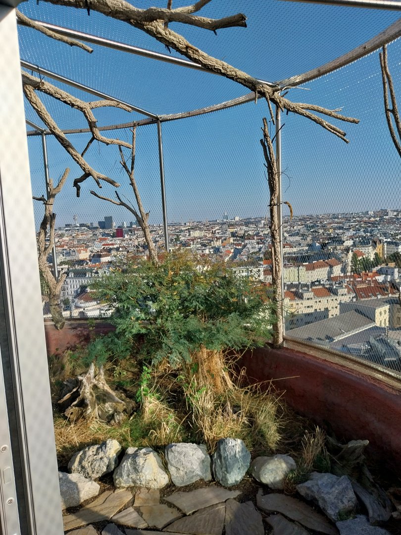 Haus des Meeres - Australien Erlebniswelt skywalk - Hanging aviary