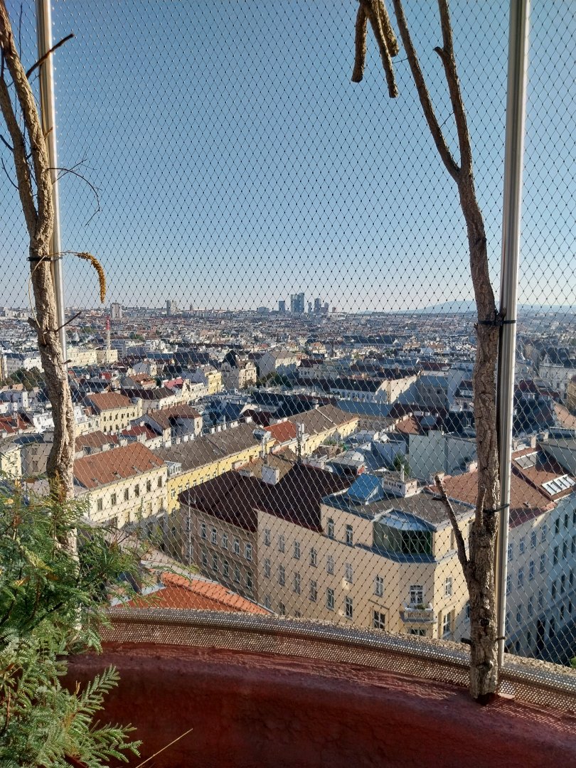 Haus des Meeres - Australien Erlebniswelt skywalk - Hanging aviary