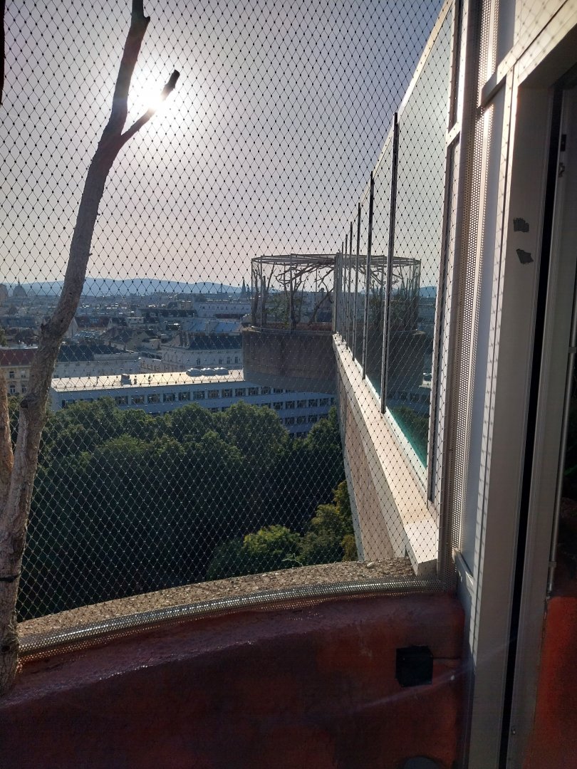Haus des Meeres - Australien Erlebniswelt skywalk - Hanging aviary