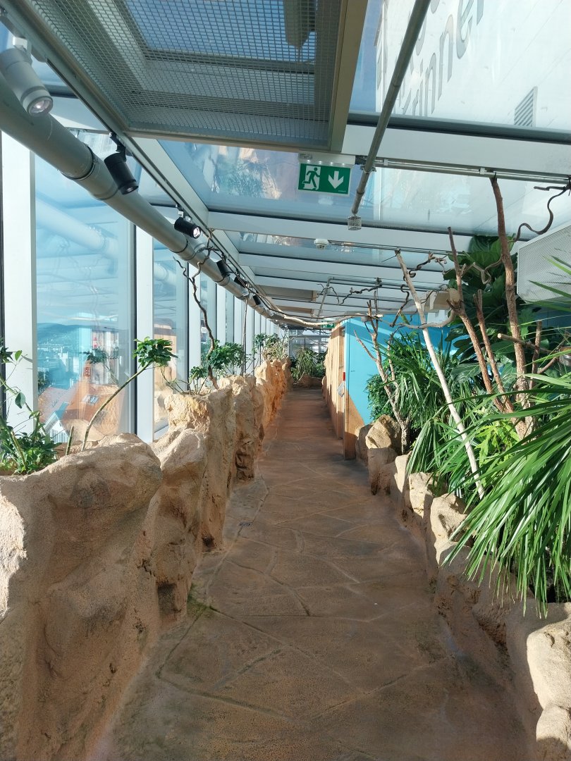 Haus des Meeres - Australien Erlebniswelt skywalk