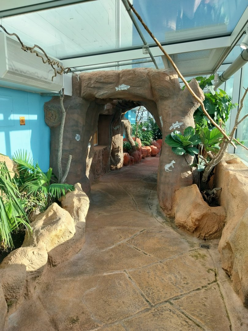 Haus des Meeres - Australien Erlebniswelt skywalk