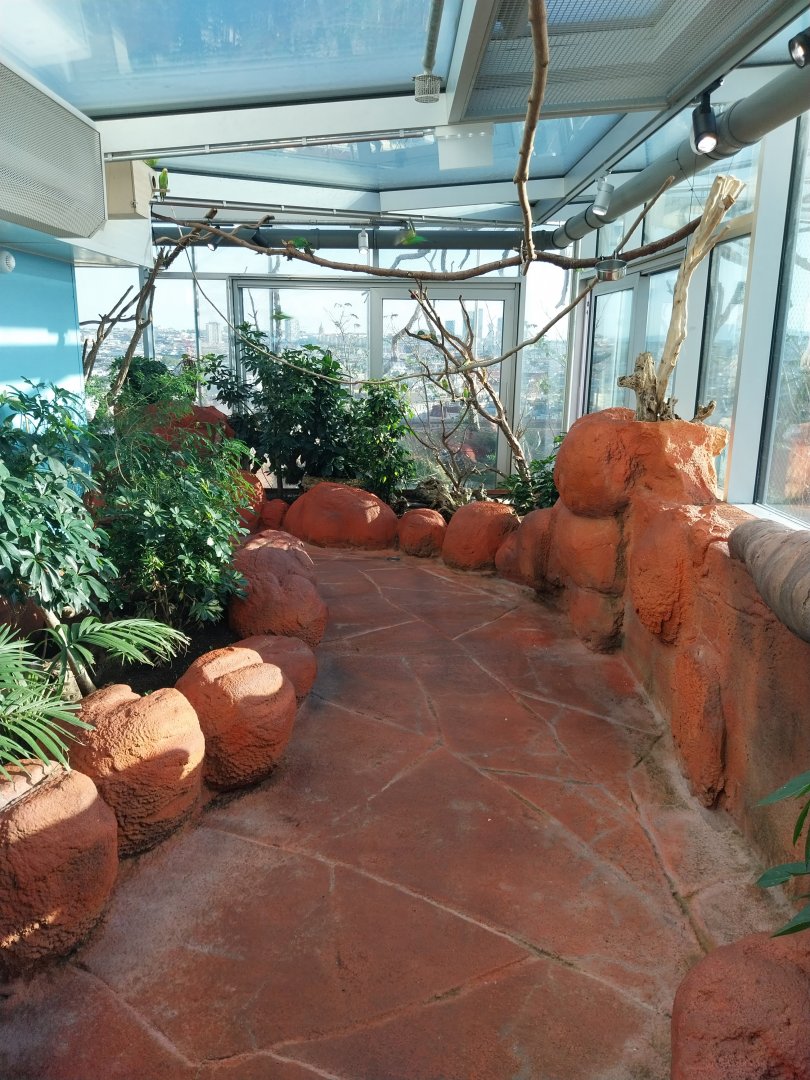 Haus des Meeres - Australien Erlebniswelt skywalk