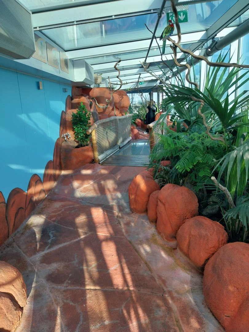 Haus des Meeres - Australien Erlebniswelt skywalk