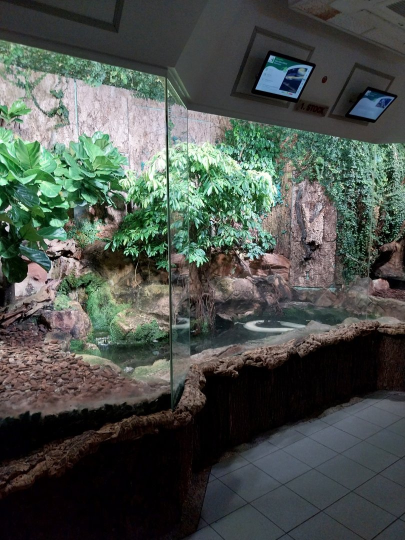 Haus des Meeres - Boidae terrarium