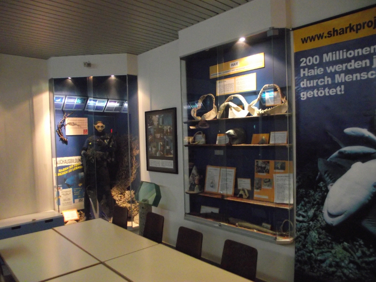 Haus des Meeres educational display