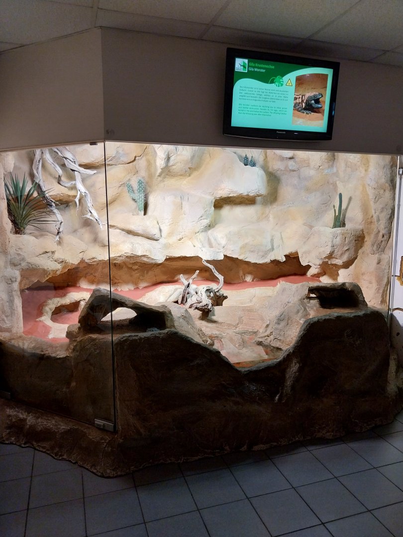 Haus des Meeres - Gila monster terrarium