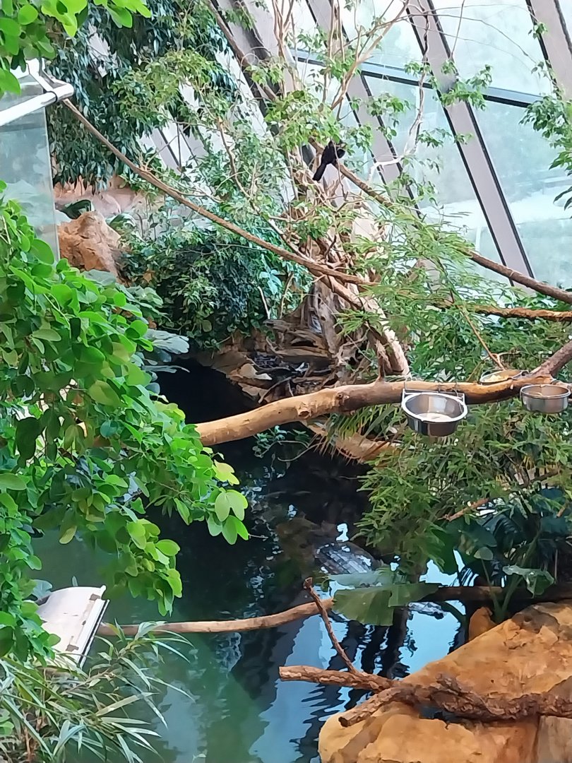 Haus des Meeres - Kroki park