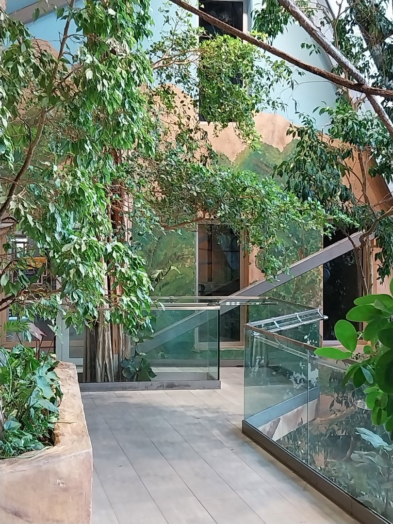 Haus des Meeres - Kroki park