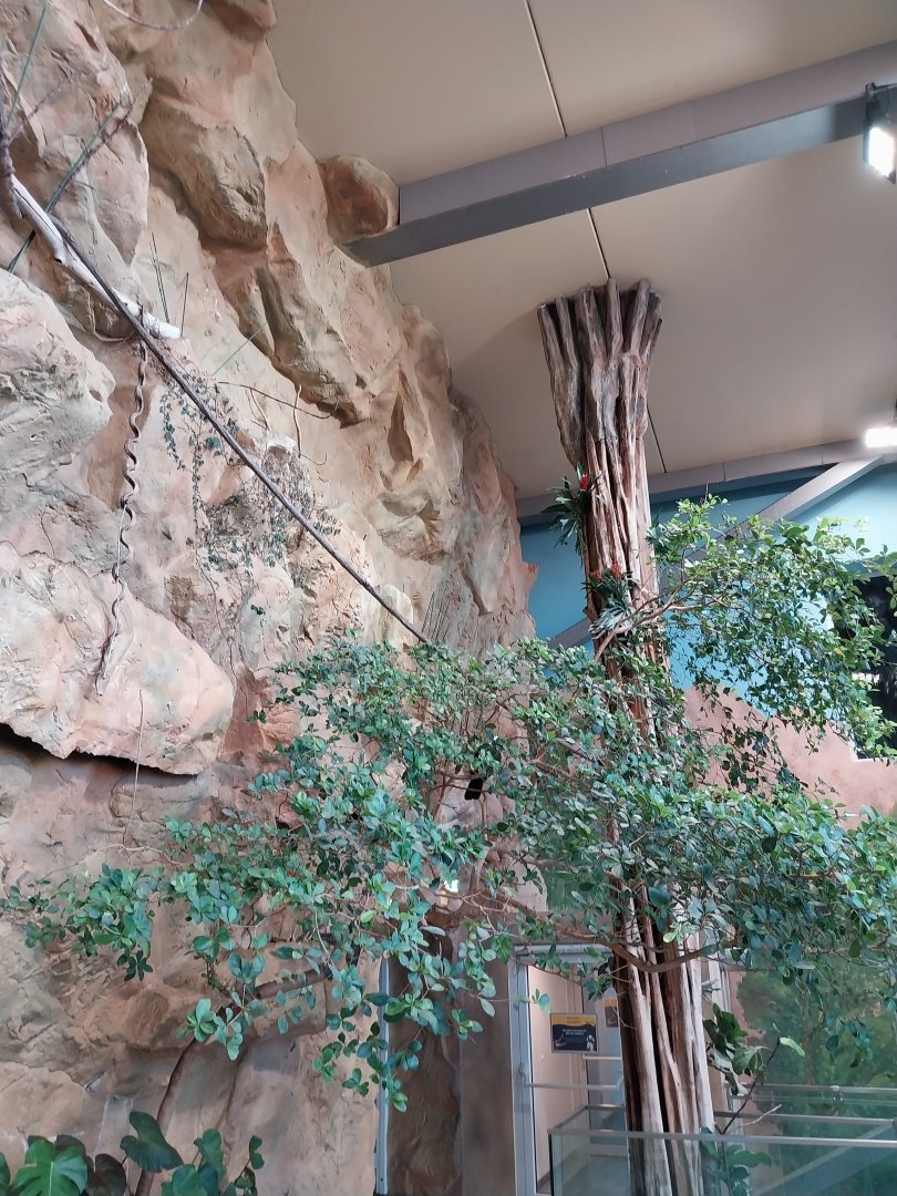 Haus des Meeres - Kroki park