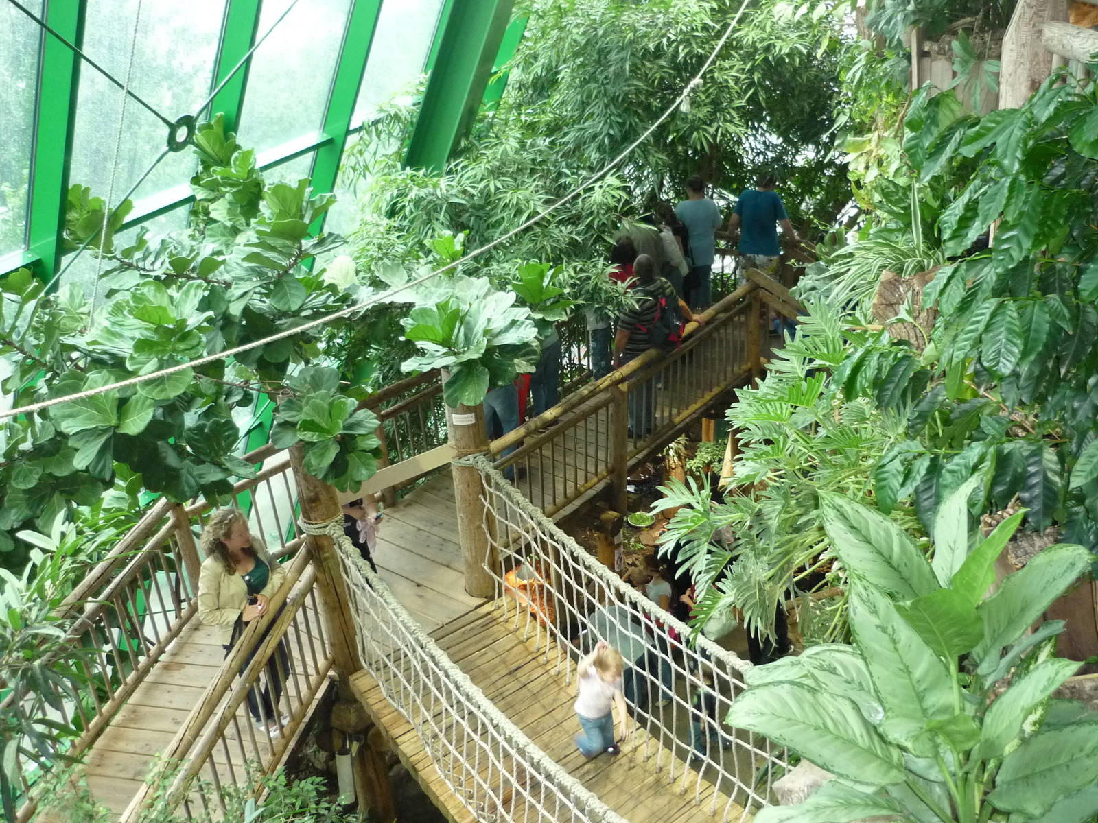 Haus des Meeres, Rainforest Exhibit