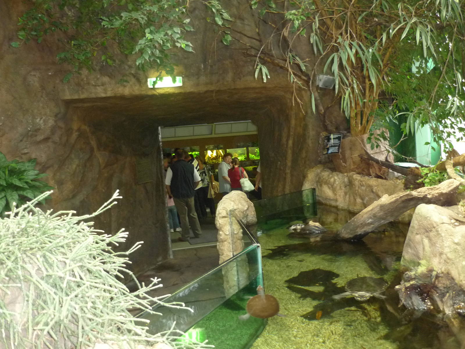 Haus des Meeres, Rainforest Exhibit